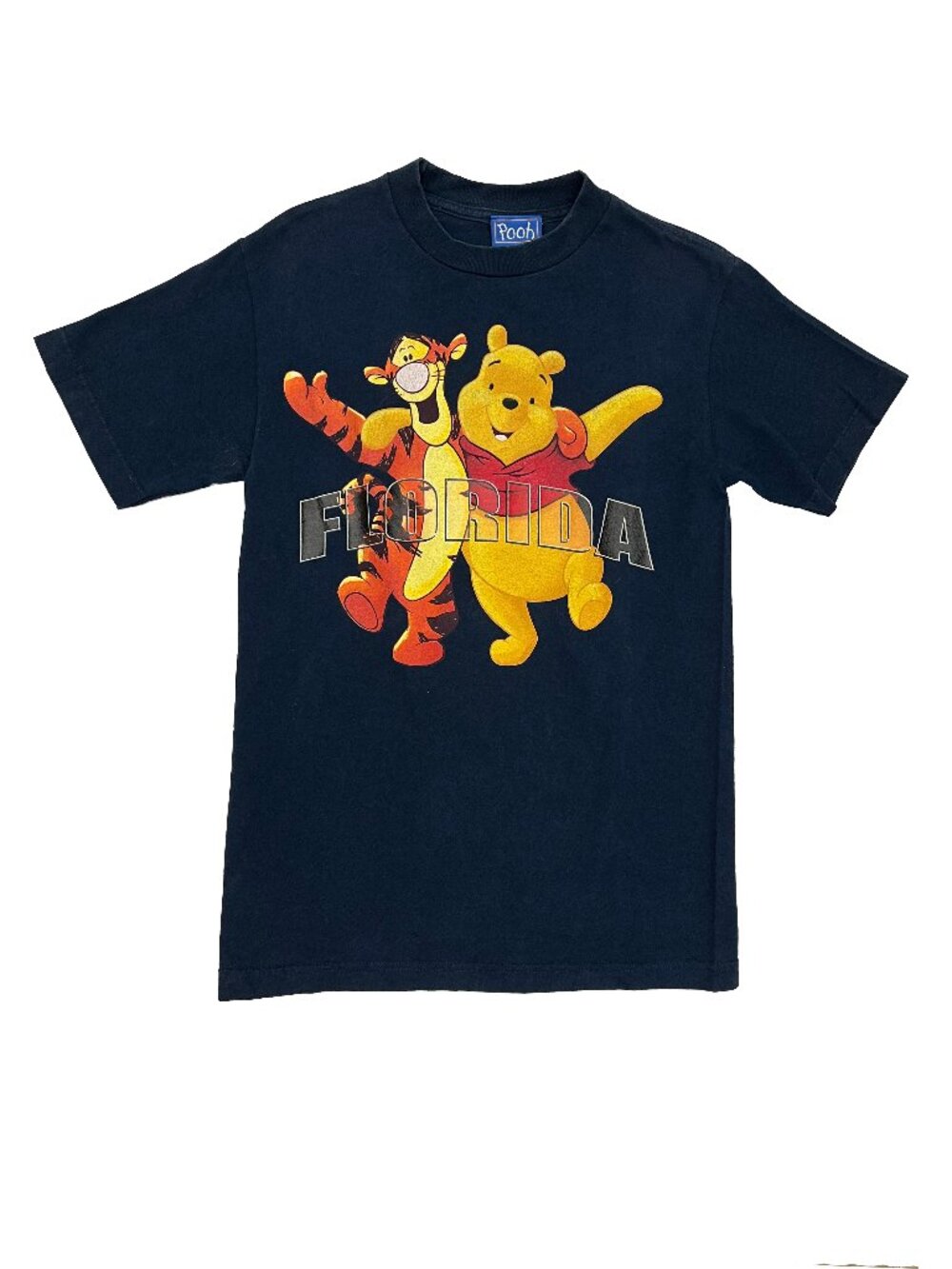 Disney Winnie the Pooh Tigger Florida Vintage 90s Blue T-Shirt Womens S